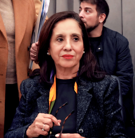 De la Rosa trabajando en comisiones.jpg