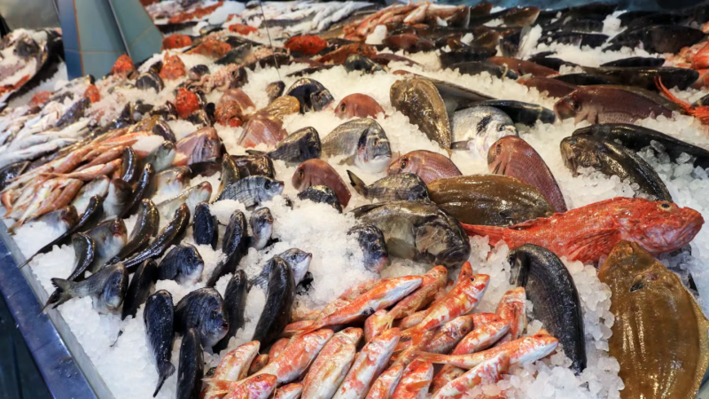 Pescados y frutos de mar directo desde la costa: dónde conseguirlos en Resistencia