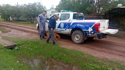 rescate