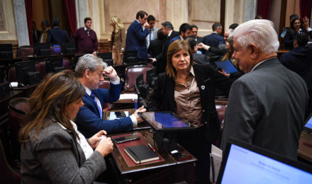 senado