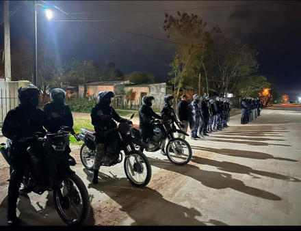 fuerzas policiales 1