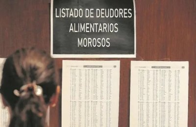 "En el Chaco tenemos una ley maravillosa de deudores alimentarios pero no funciona"