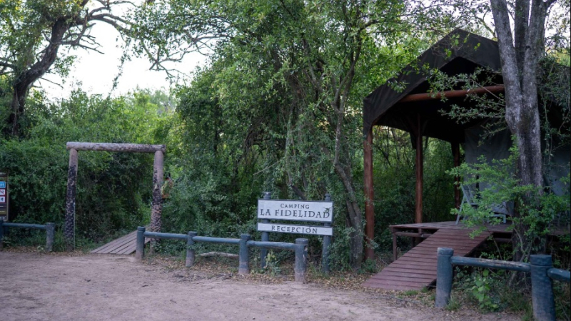 El camping La Fidelidad, la puerta de entrada al corazón de El Impenetrable