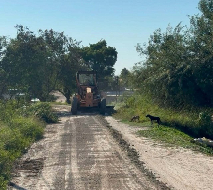 Defensas obras_ (1)