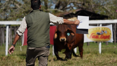 "Lo que más valoramos en Caá Cupé es que el cliente que lleva un animal, después vuelve"