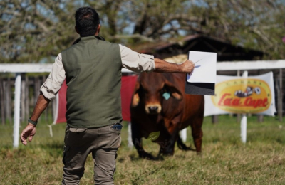 "Lo que más valoramos en Caá Cupé es que el cliente que lleva un animal, después vuelve"