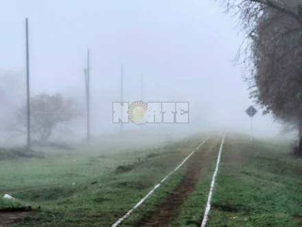 NIEBLA