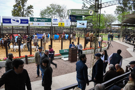 EXPO-RURAL8