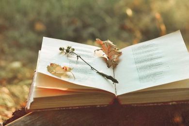 Confirmaron los ganadores del concurso de novela y poesía provincial