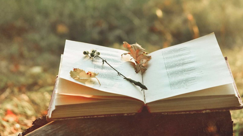 Confirmaron los ganadores del concurso de novela y poesía provincial