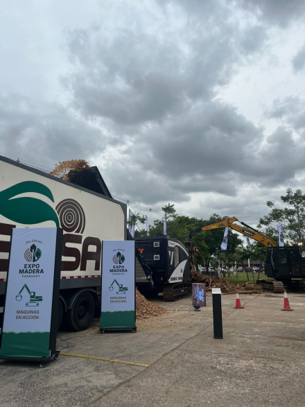 Empresas formoseñas en la Expo Madera Paraguay (1)