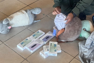Llevaba peluches, pero adentro escondía celulares de contrabando