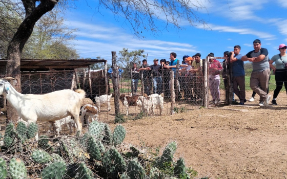 En un encuentro de jóvenes rurales, todos aseguraron conocer algún intento suicida