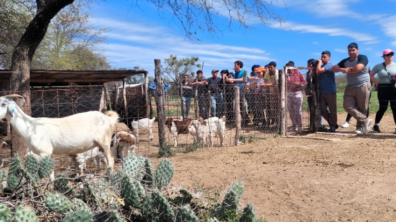 En un encuentro de jóvenes rurales, todos aseguraron conocer algún intento suicida