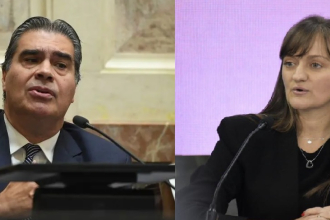Capitanich y Schneider, los chaqueños que encabezan los registros de proyectos en el Senado