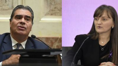 Capitanich y Schneider, los chaqueños que encabezan los registros de proyectos en el Senado