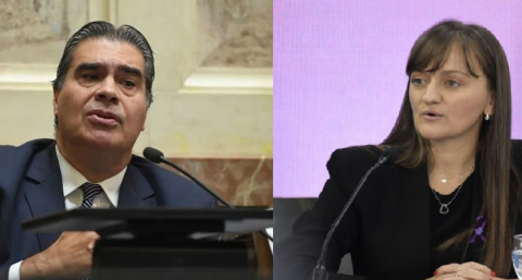 Capitanich y Schneider, los chaqueños que encabezan los registros de proyectos en el Senado