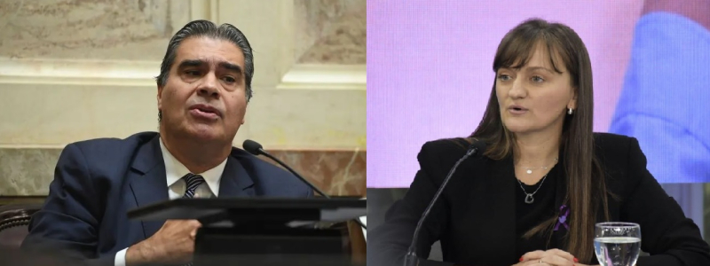 Capitanich y Schneider lideran el ránking de proyectos legislativos en el Senado nacional
