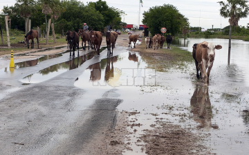 Cómo se vive la creciente del Paraná en localidades costeras del Chaco