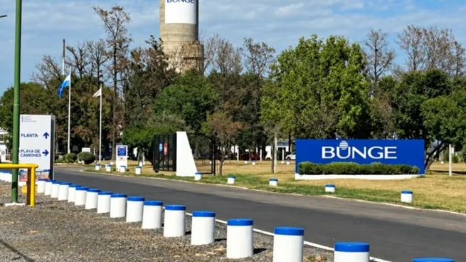 Bunge Campana