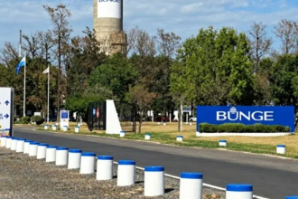Sorpresivo cierre de la planta de fertilizantes Bunge en Campana