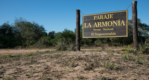 El monte revive y genera trabajo en el Chaco