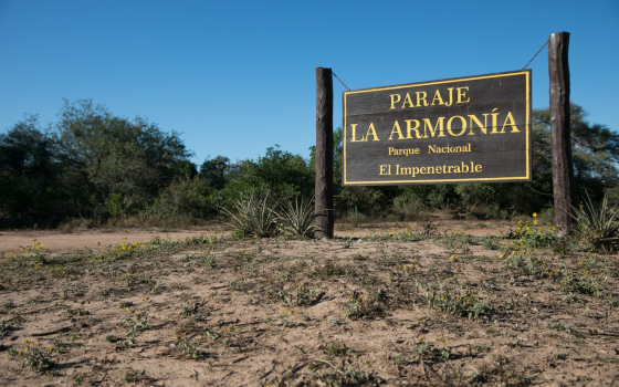El monte revive y genera trabajo en el Chaco