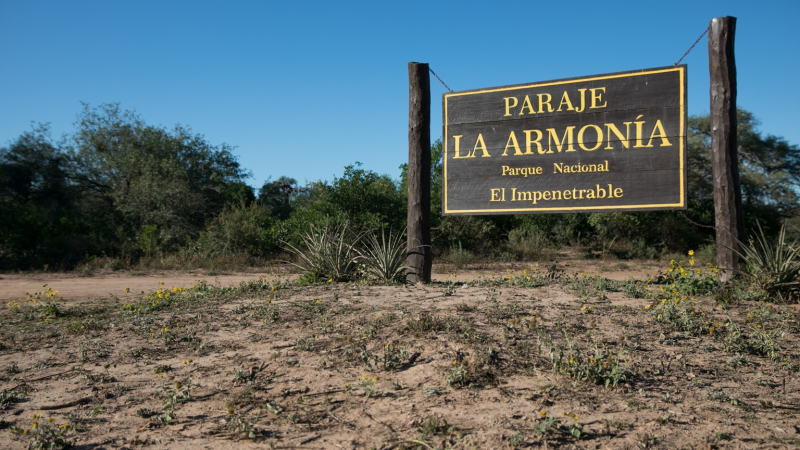 El monte revive y genera trabajo en el Chaco