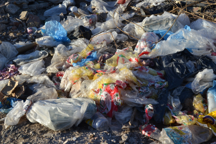 basura.JPG