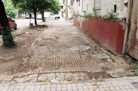vereda2.jpg