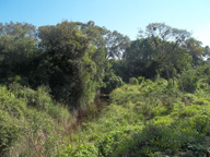arroyo Ojeda.jpg