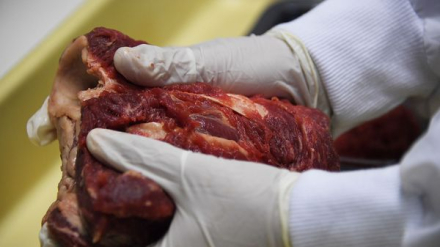 crisis-carne-brasil-alimentos-faena-pollo-1920-2.jpg