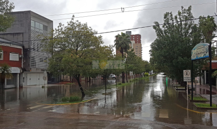 alberdi.jpg