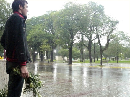 rama-y-lluvia.jpg