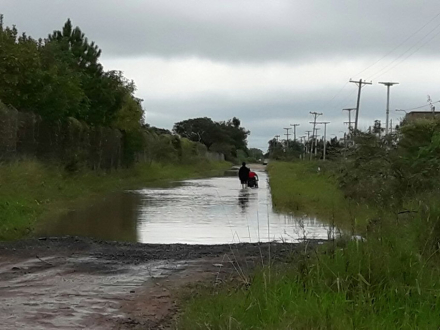 Caraguata inundado 2.jpg
