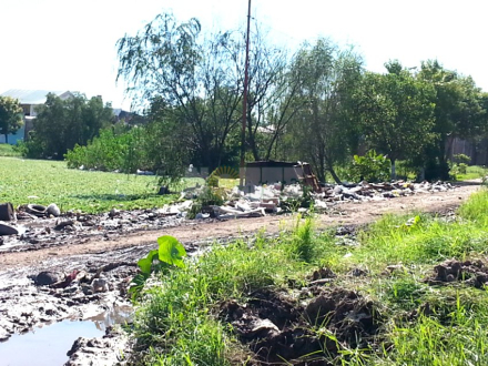 basural01.jpg