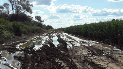 Productores del Consorcio 78 piden el arreglo de caminos