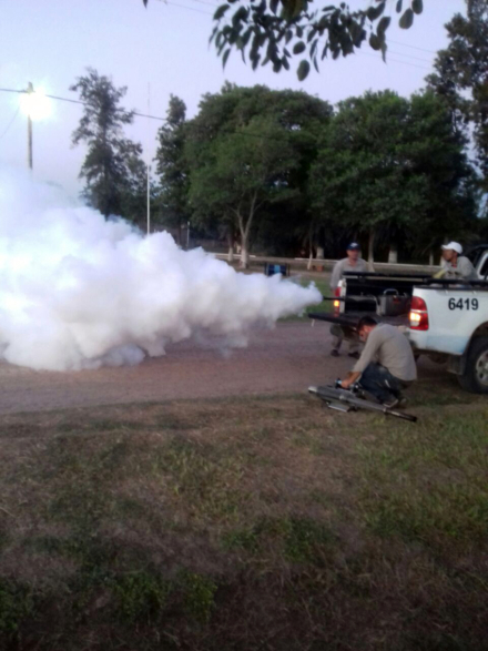 fumigacion.jpg