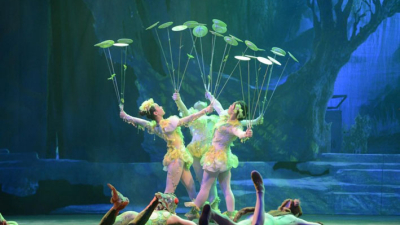 “El panda y la naturaleza”, el espectáculo del Circo Imperial de China por primera vez en Resistencia