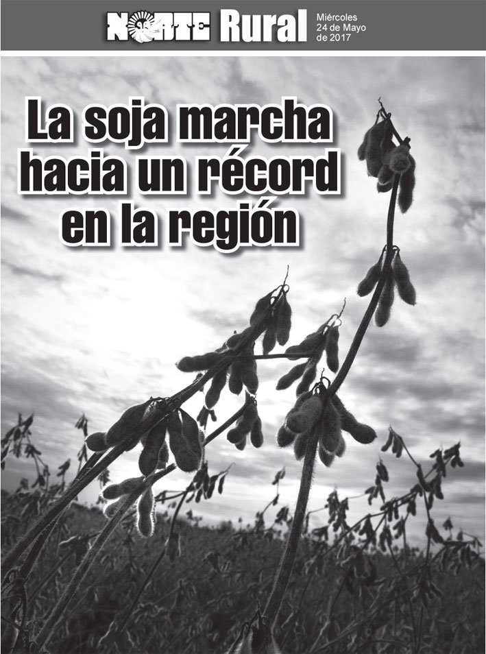 La soja marcha hacia un record en la región