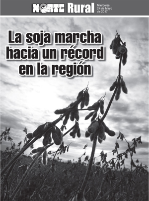 La soja marcha hacia un record en la región