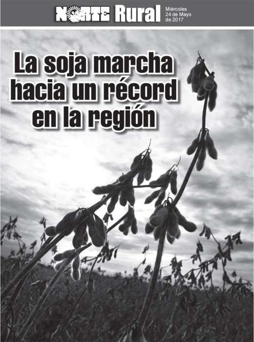 La soja marcha hacia un record en la región