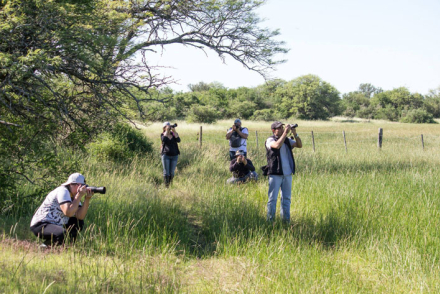 FOTOGRAFOS.jpg