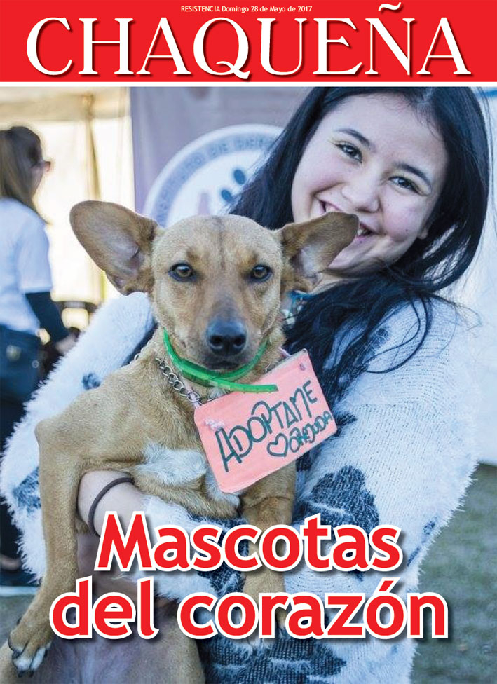 Mascotas del coraczón