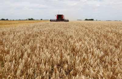 El Chaco sembró más de 1.500.000 hectáreas en esta campaña agrícola