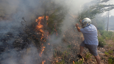 El fuego en Portugal avanza hacia el norte: ya causó 64 muertos,