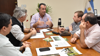 El costo de la fumigación de langostas en el sudoeste será financiada por el gobierno