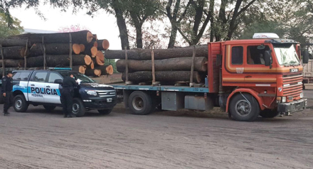 camioncon-algarrobo.jpg