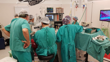implantes3.jpg
