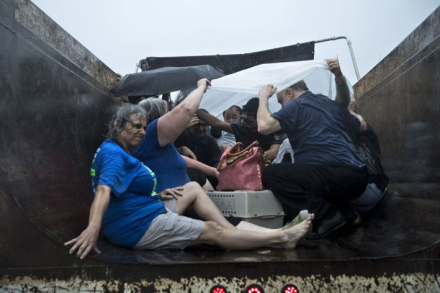 harvey7.jpg